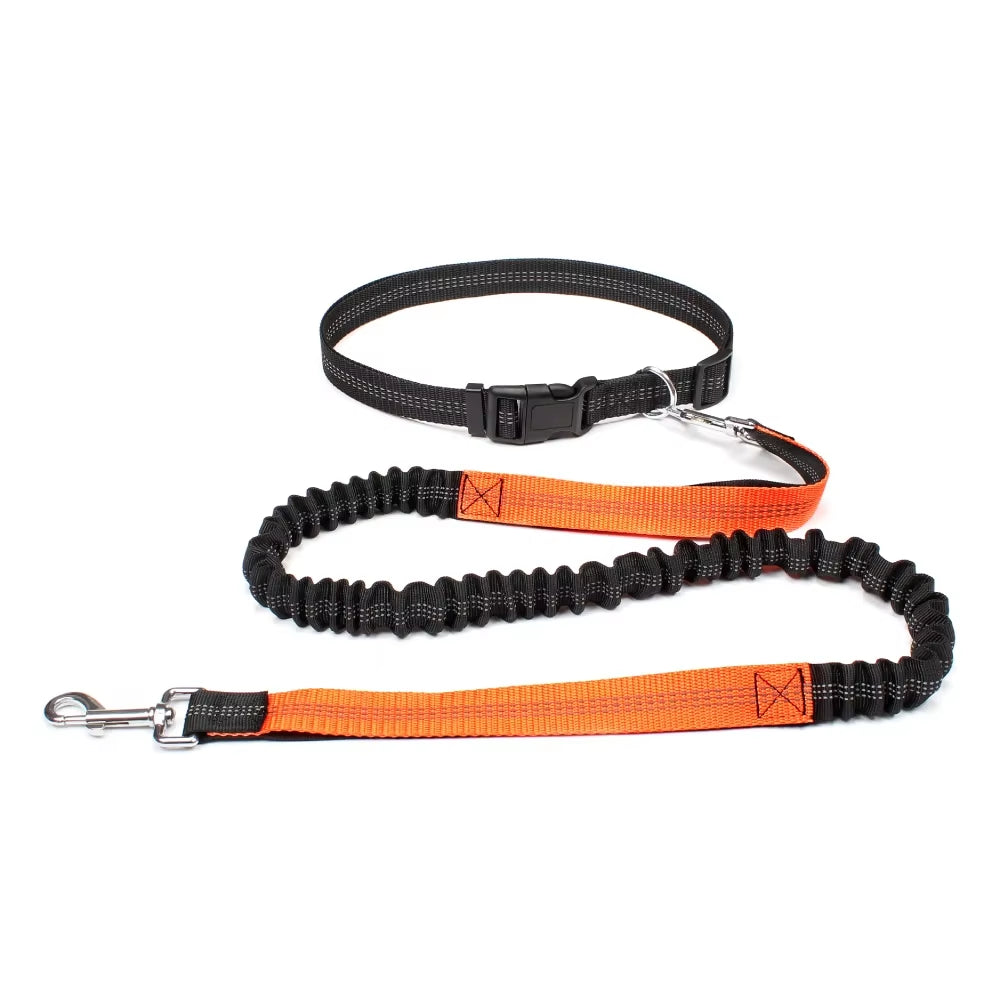 Hands-Free Running Dog Leash