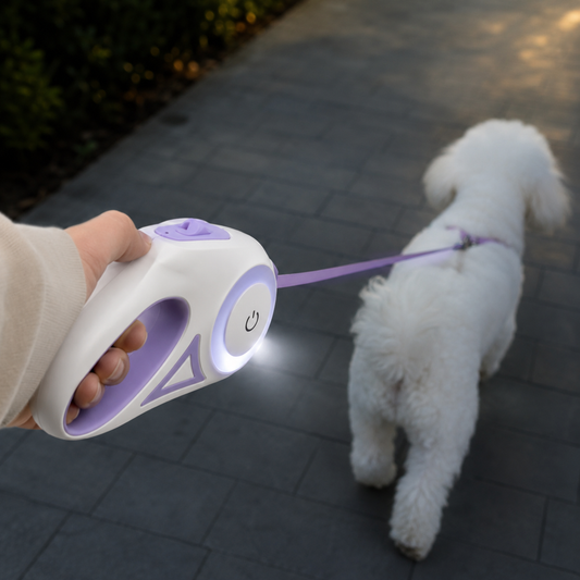 LED Retractable Pet Leash