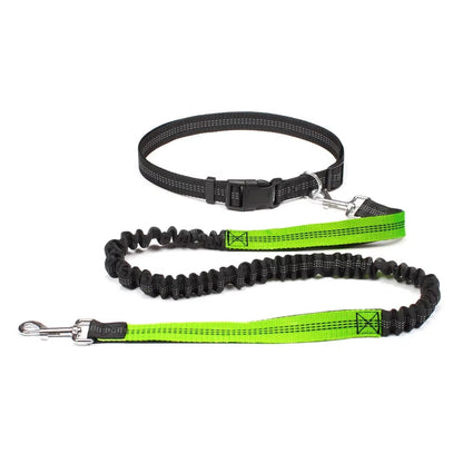Hands-Free Running Dog Leash