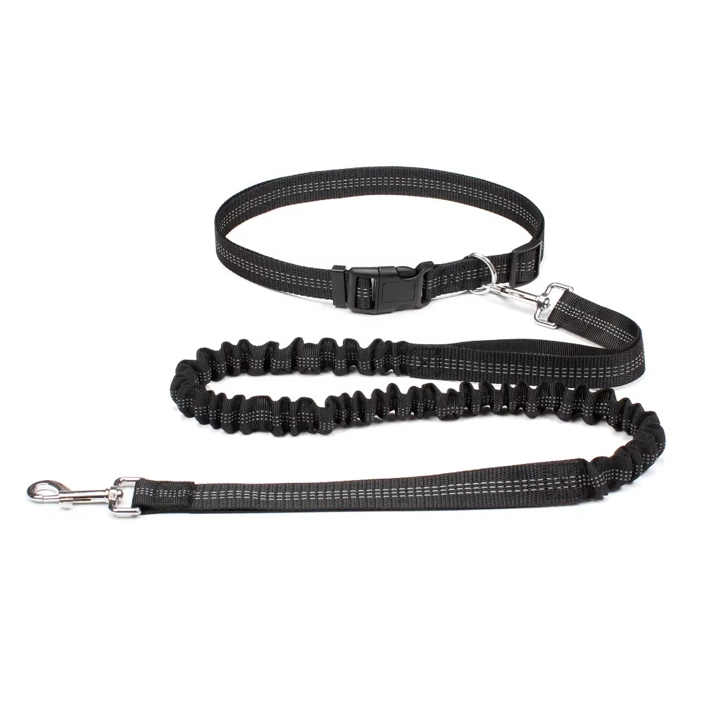 Hands-Free Running Dog Leash