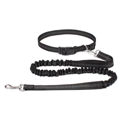 Hands-Free Running Dog Leash